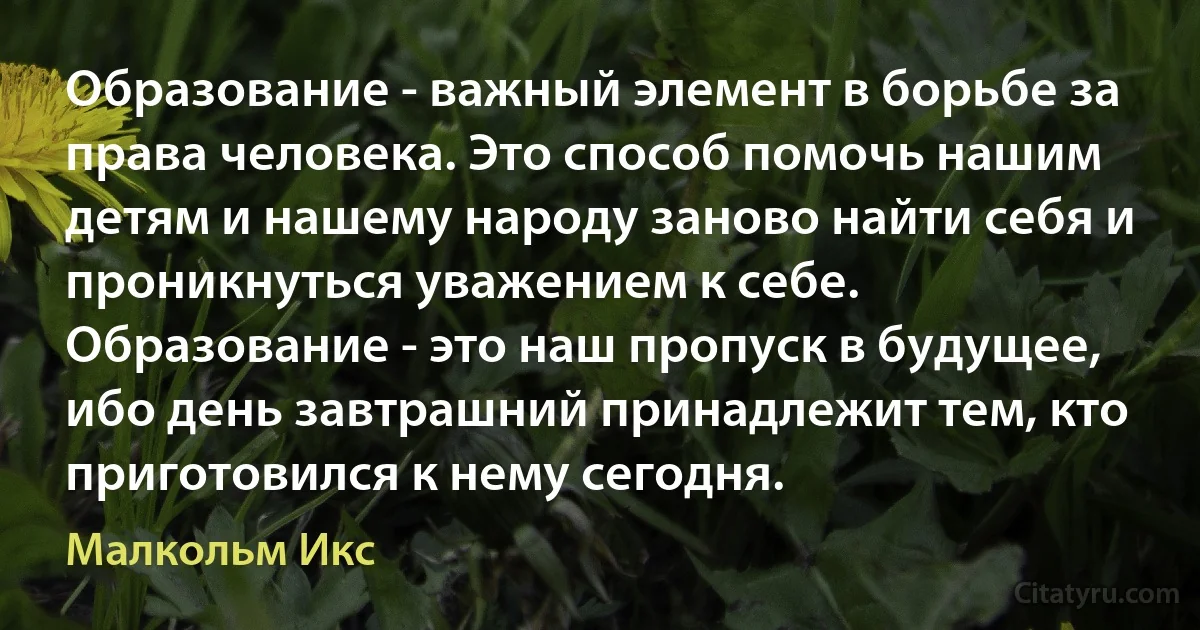 Образование - важный элемент в борьбе за права человека. Это способ помочь нашим детям и нашему народу заново найти себя и проникнуться уважением к себе. Образование - это наш пропуск в будущее, ибо день завтрашний принадлежит тем, кто приготовился к нему сегодня. (Малкольм Икс)