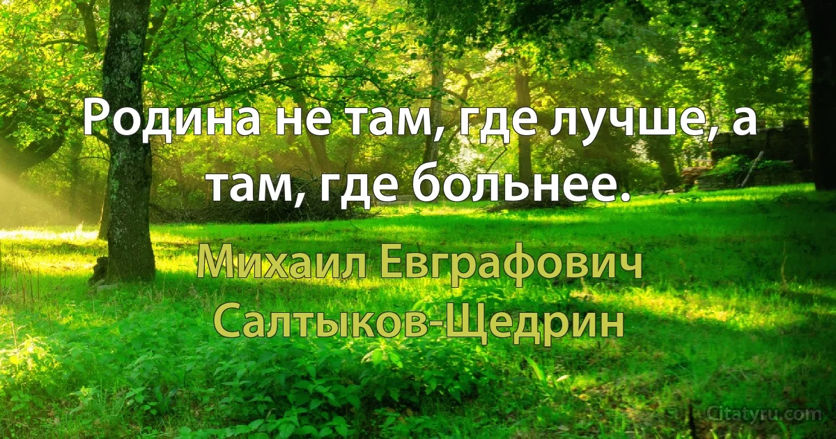 Родина не там, где лучше, а там, где больнее. (Михаил Евграфович Салтыков-Щедрин)