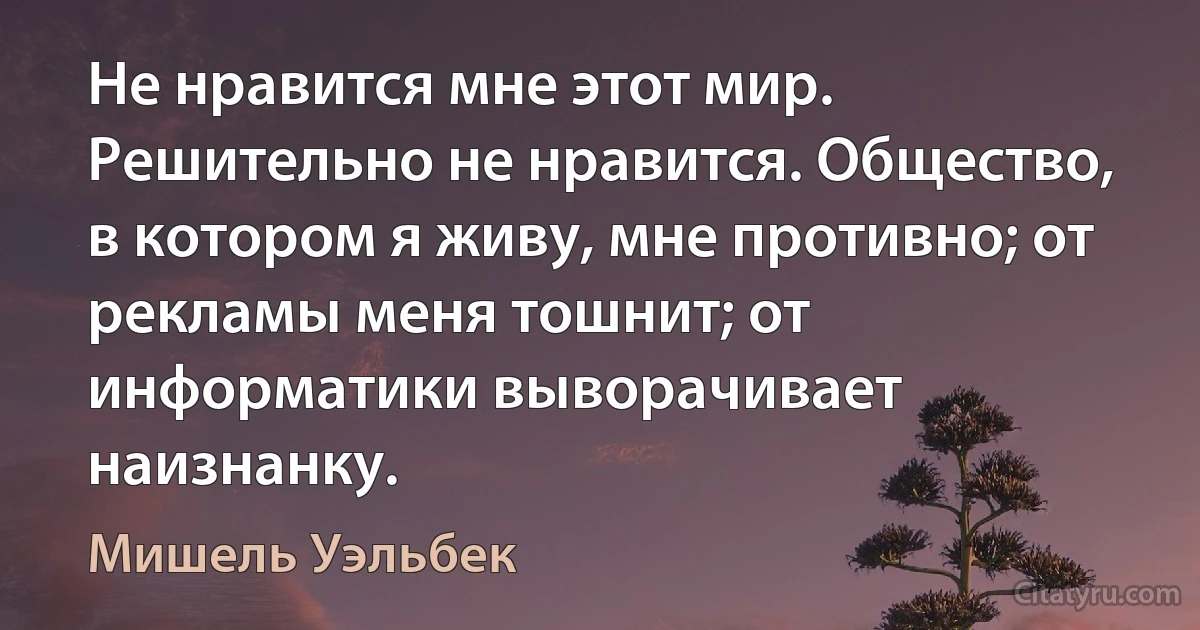 Не нравится мне этот мир. Решительно не нравится. Общество, в котором я живу, мне противно; от рекламы меня тошнит; от информатики выворачивает наизнанку. (Мишель Уэльбек)