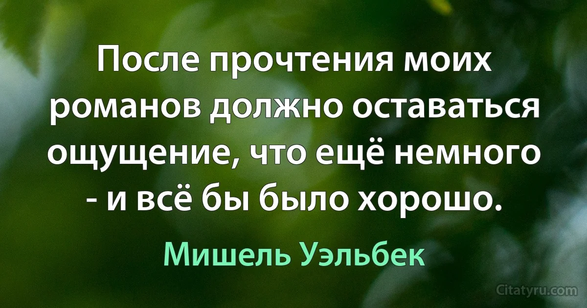 После прочтения моих романов должно оставаться ощущение, что ещё немного - и всё бы было хорошо. (Мишель Уэльбек)