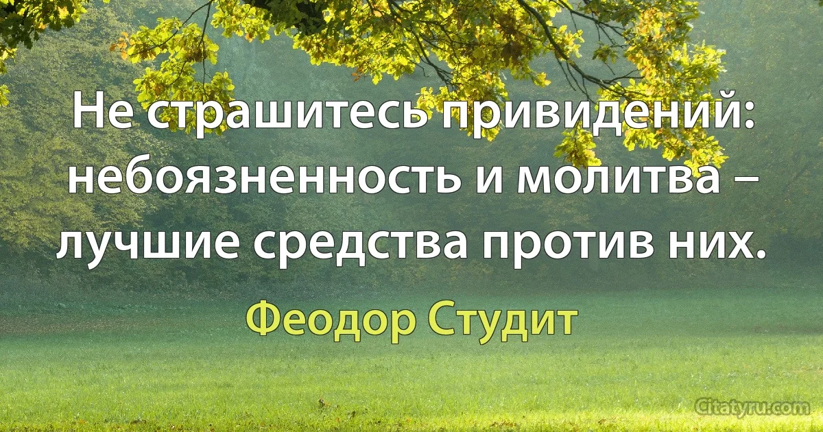 Не страшитесь привидений: небоязненность и молитва – лучшие средства против них. (Феодор Студит)