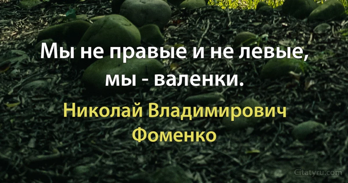 Мы не правые и не левые, мы - валенки. (Николай Владимирович Фоменко)