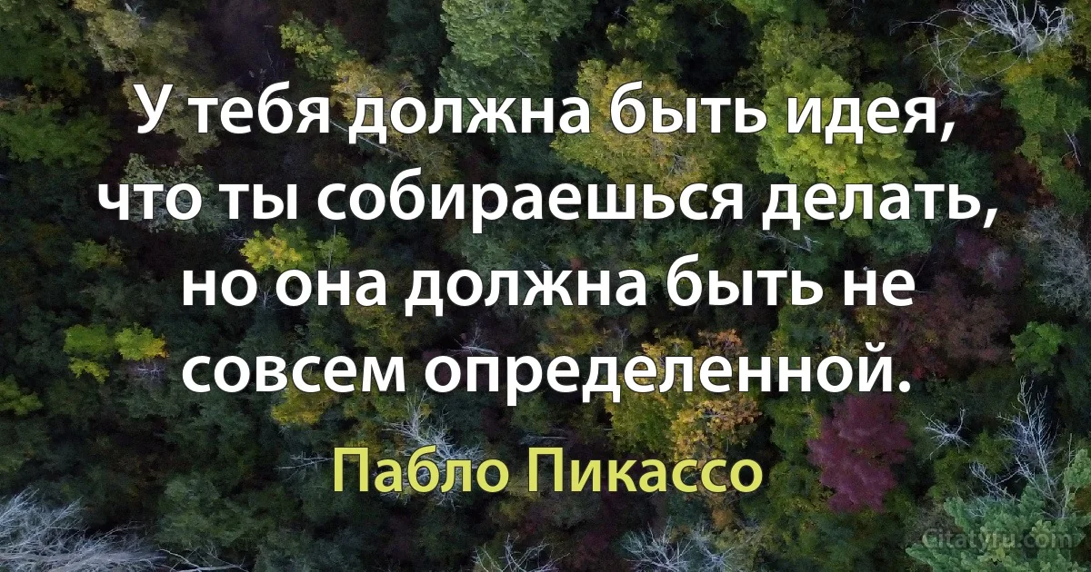 У тебя должна быть идея, что ты собираешься делать, но она должна быть не совсем определенной. (Пабло Пикассо)