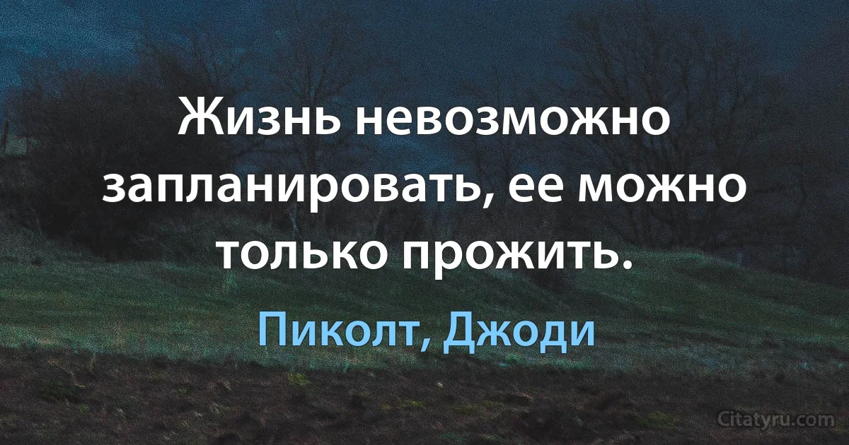 Жизнь невозможно запланировать, ее можно только прожить. (Пиколт, Джоди)