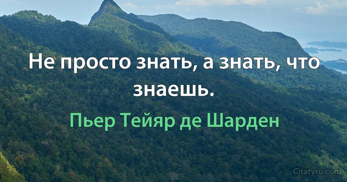 Не просто знать, а знать, что знаешь. (Пьер Тейяр де Шарден)