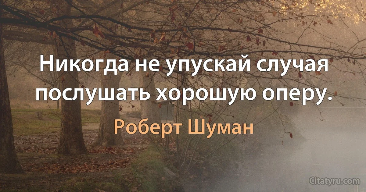 Никогда не упускай случая послушать хорошую оперу. (Роберт Шуман)