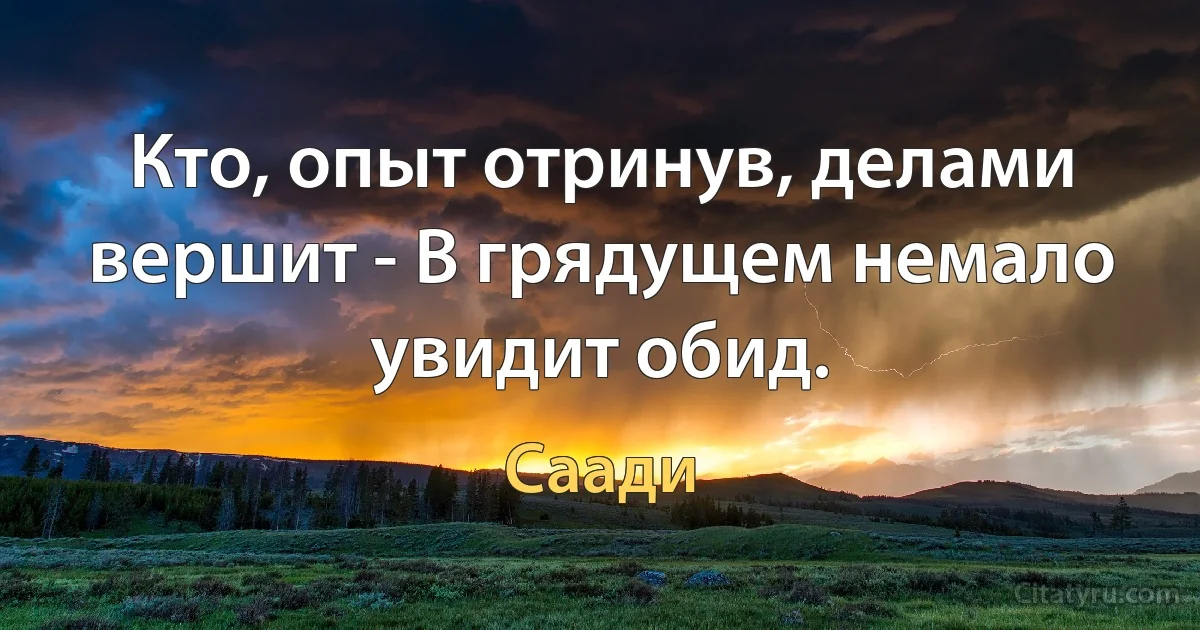 Кто, опыт отринув, делами вершит - В грядущем немало увидит обид. (Саади)