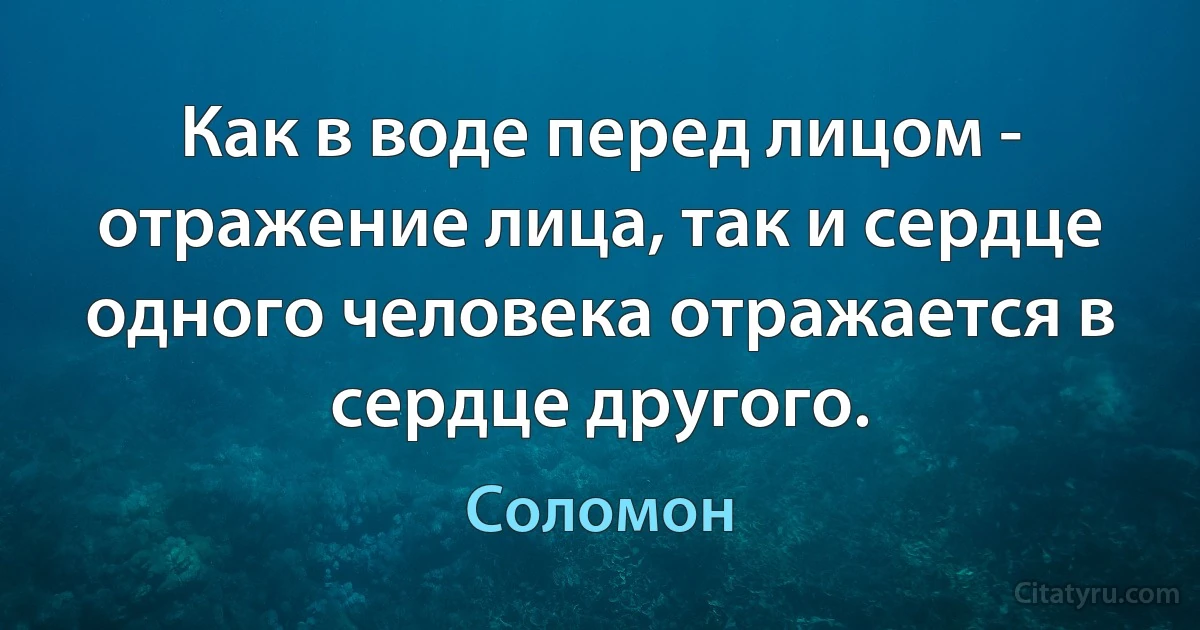 Как в воде перед лицом - отражение лица, так и сердце одного человека отражается в сердце другого. (Соломон)