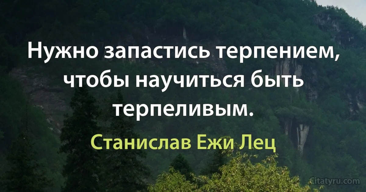 Нужно запастись терпением, чтобы научиться быть терпеливым. (Станислав Ежи Лец)