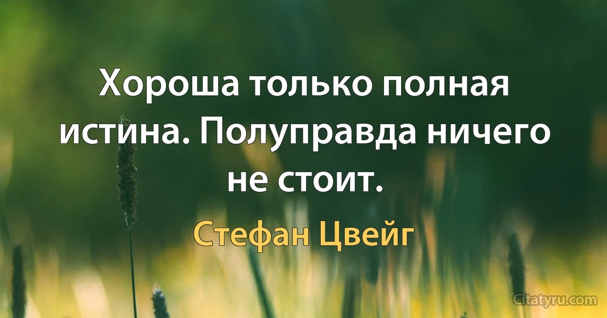 Хороша только полная истина. Полуправда ничего не стоит. (Стефан Цвейг)