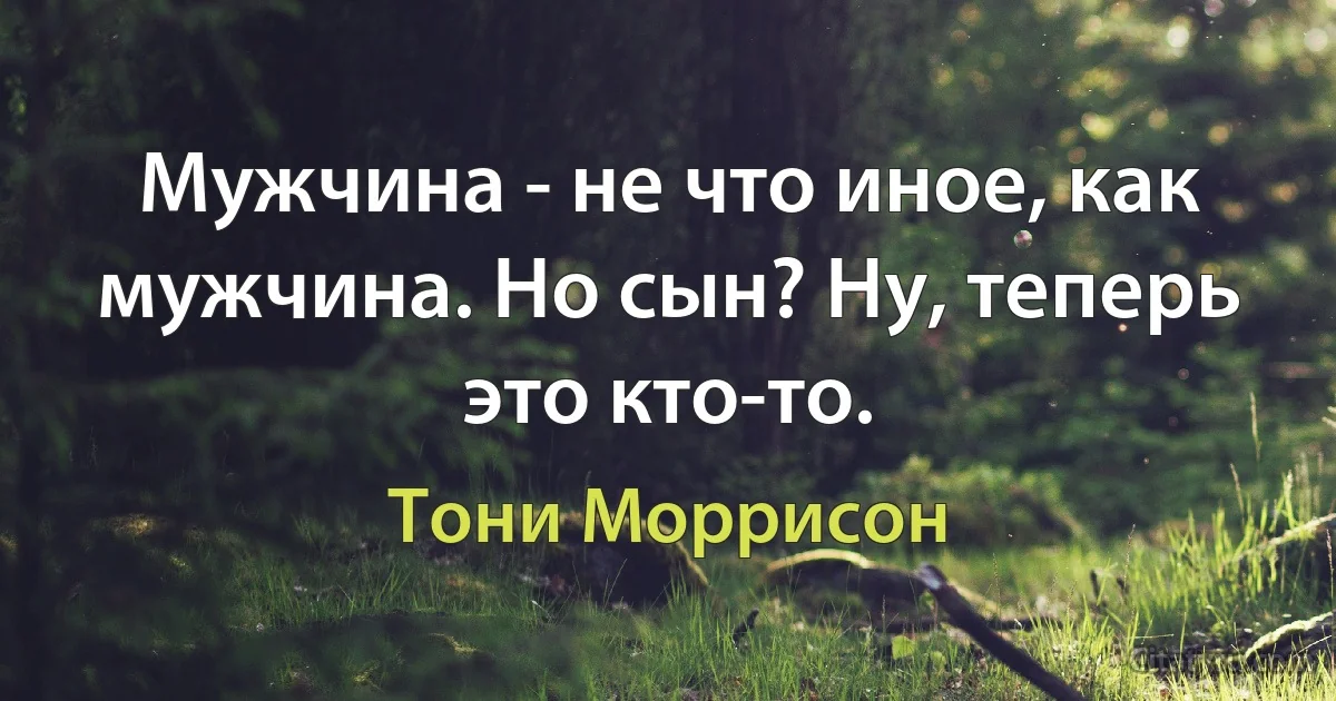 Мужчина - не что иное, как мужчина. Но сын? Ну, теперь это кто-то. (Тони Моррисон)