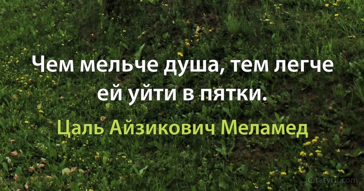 Чем мельче душа, тем легче ей уйти в пятки. (Цаль Айзикович Меламед)