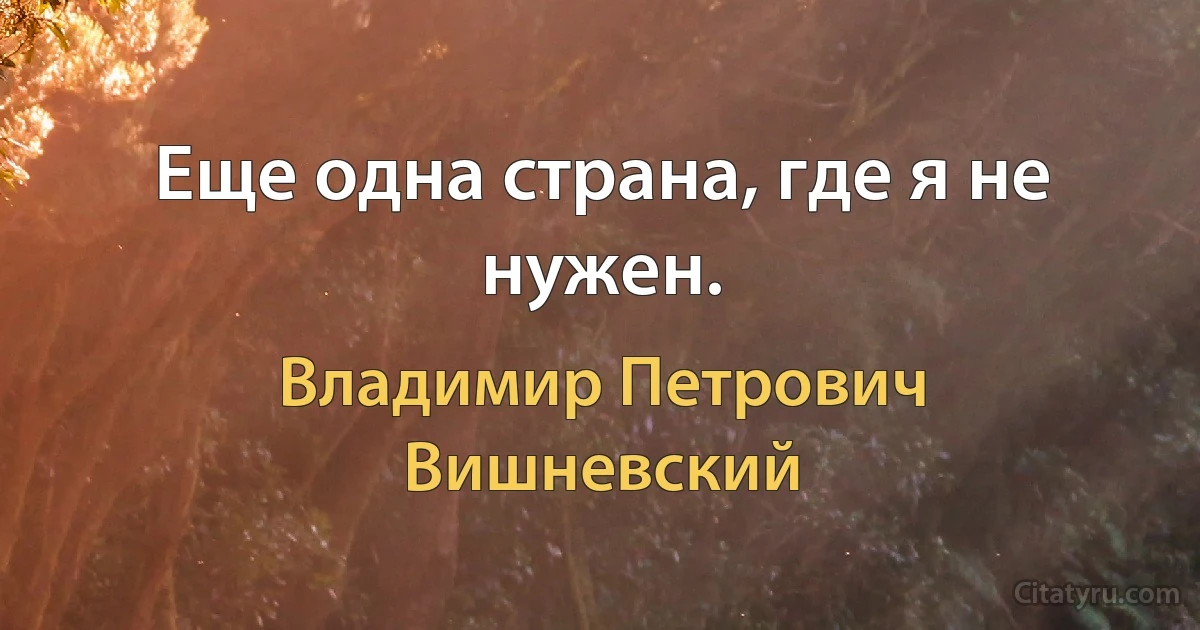 Еще одна страна, где я не нужен. (Владимир Петрович Вишневский)