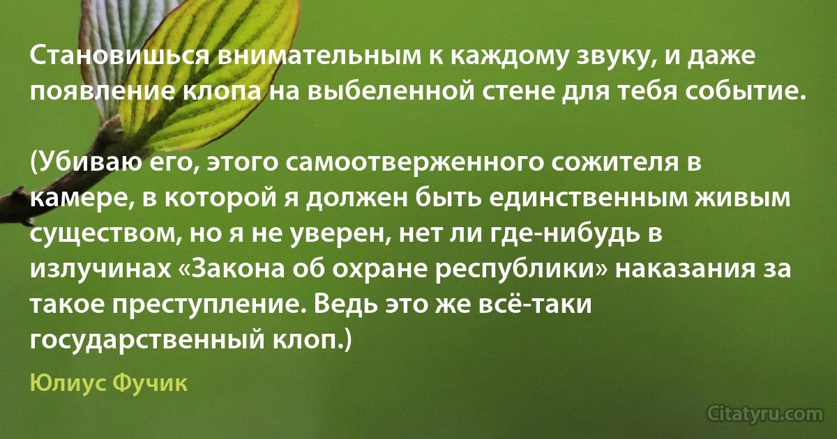 Становишься внимательным к каждому звуку, и даже появление клопа на выбеленной стене для тебя событие.

(Убиваю его, этого самоотверженного сожителя в камере, в которой я должен быть единственным живым существом, но я не уверен, нет ли где-нибудь в излучинах «Закона об охране республики» наказания за такое преступление. Ведь это же всё-таки государственный клоп.) (Юлиус Фучик)