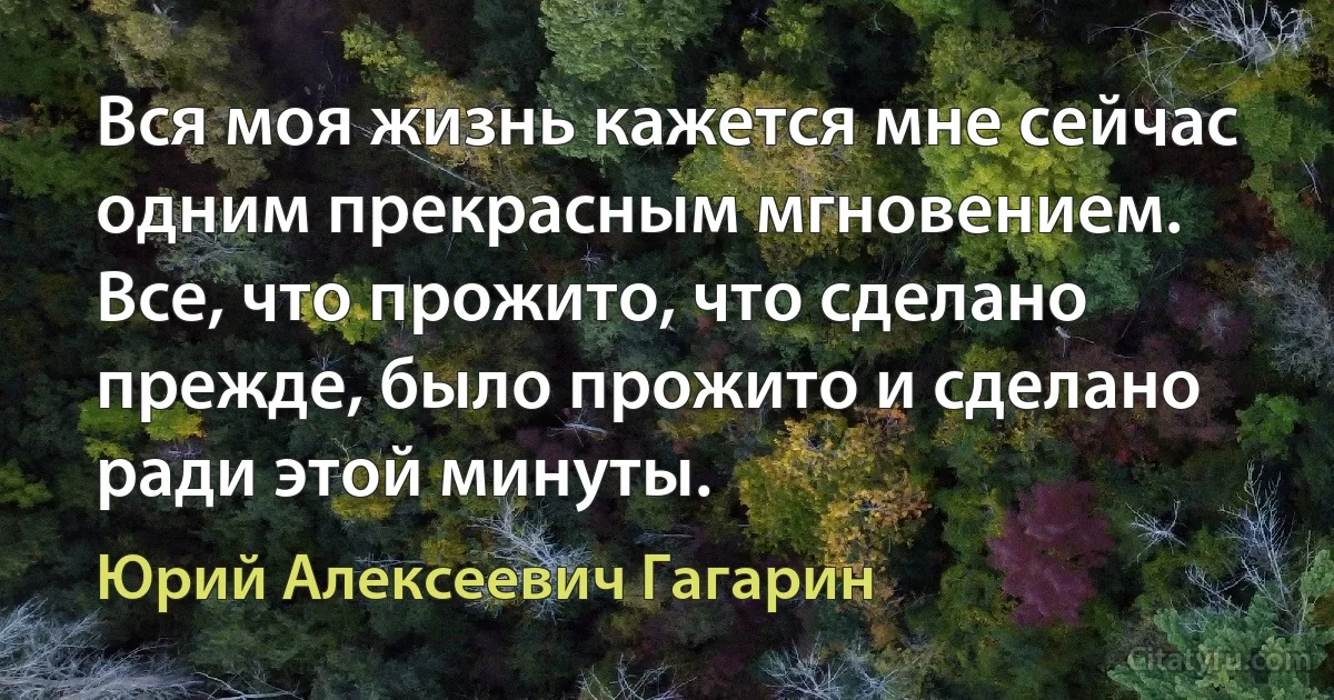 Вся моя жизнь кажется мне сейчас одним прекрасным мгновением. Все, что прожито, что сделано прежде, было прожито и сделано ради этой минуты. (Юрий Алексеевич Гагарин)