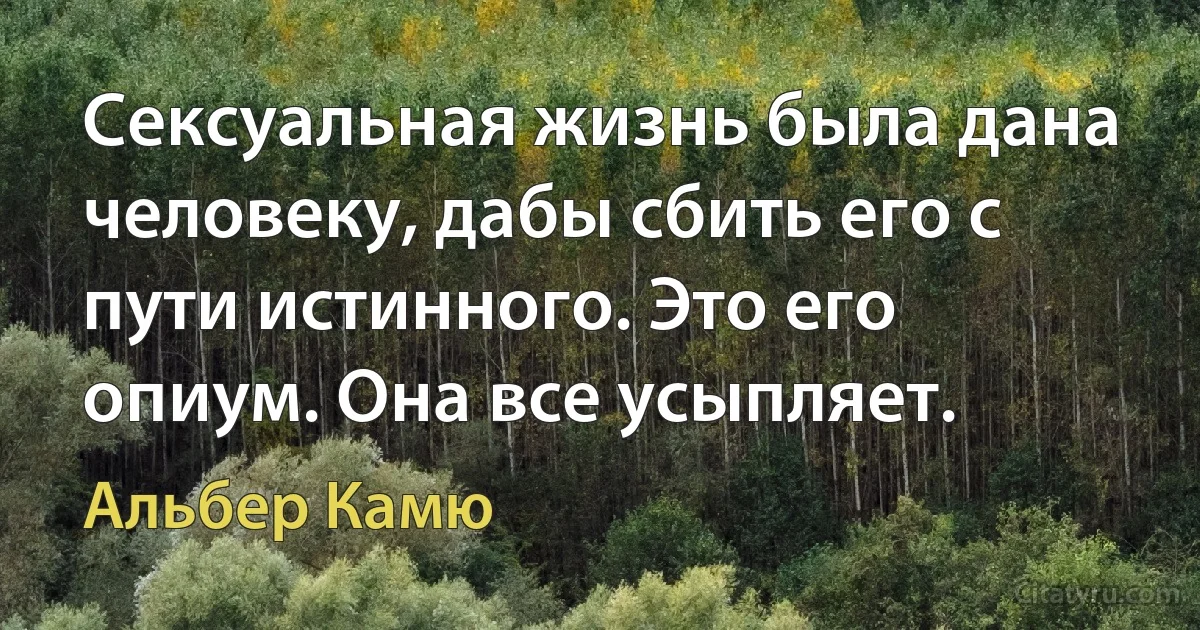 Сексуальная жизнь была дана человеку, дабы сбить его с пути истинного. Это его опиум. Она все усыпляет. (Альбер Камю)