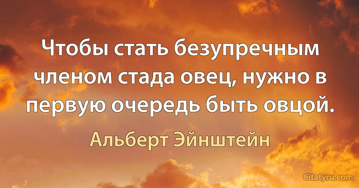 Чтобы стать безупречным членом стада овец, нужно в первую очередь быть овцой. (Альберт Эйнштейн)