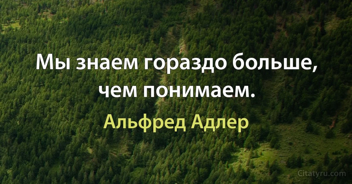 Мы знаем гораздо больше, чем понимаем. (Альфред Адлер)