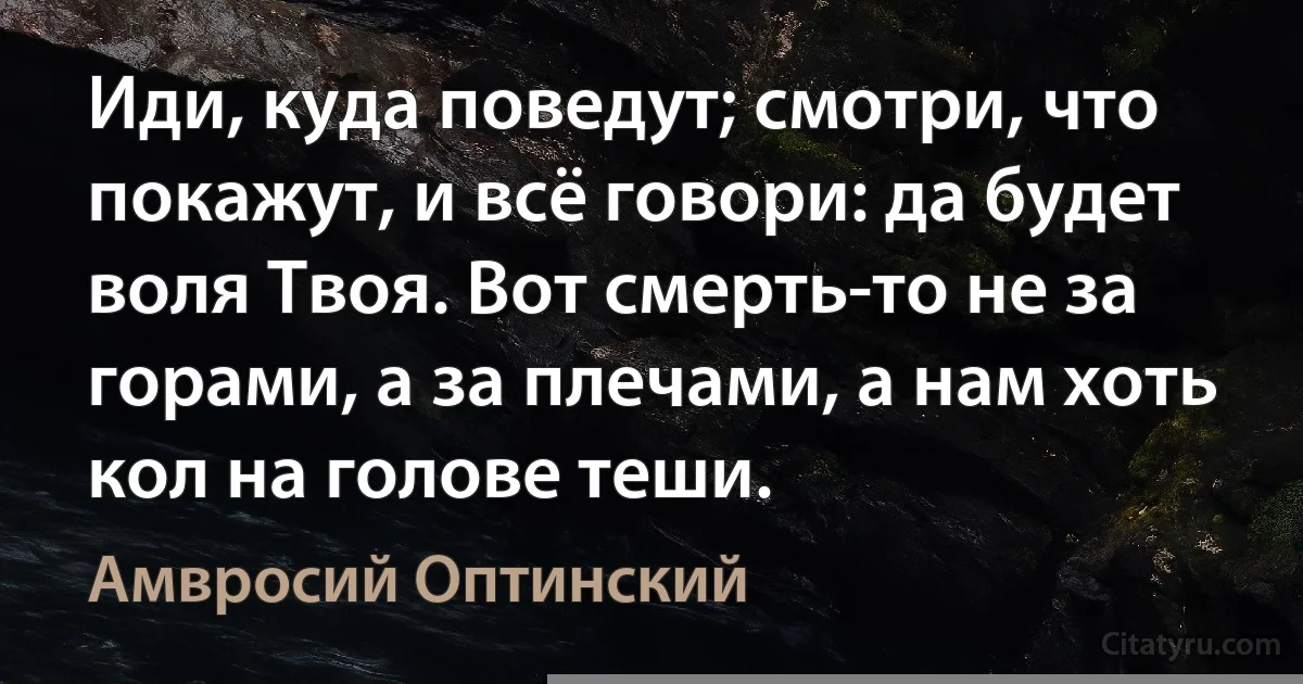 Иди, куда поведут; смотри, что покажут, и всё говори: да будет воля Твоя. Вот смерть-то не за горами, а за плечами, а нам хоть кол на голове теши. (Амвросий Оптинский)