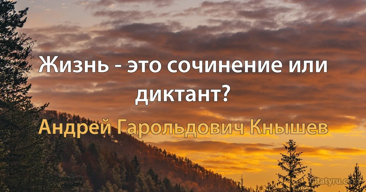 Жизнь - это сочинение или диктант? (Андрей Гарольдович Кнышев)