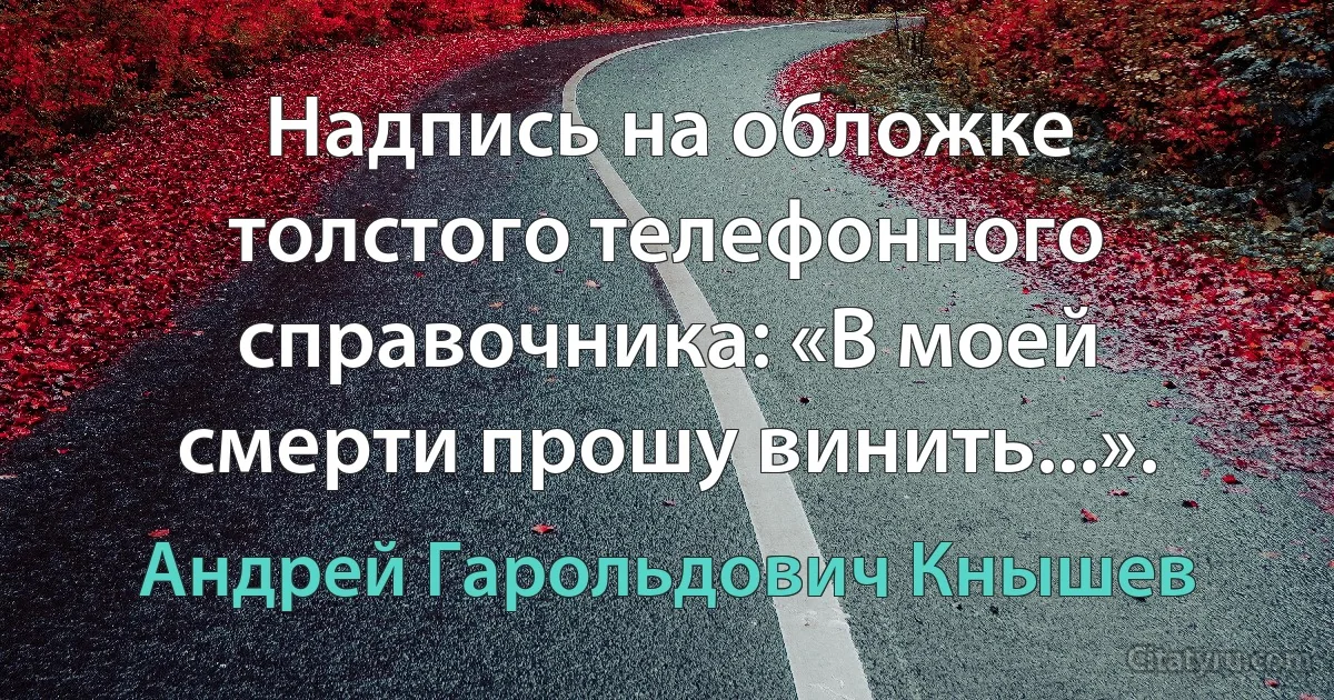 Надпись на обложке толстого телефонного справочника: «В моей смерти прошу винить...». (Андрей Гарольдович Кнышев)