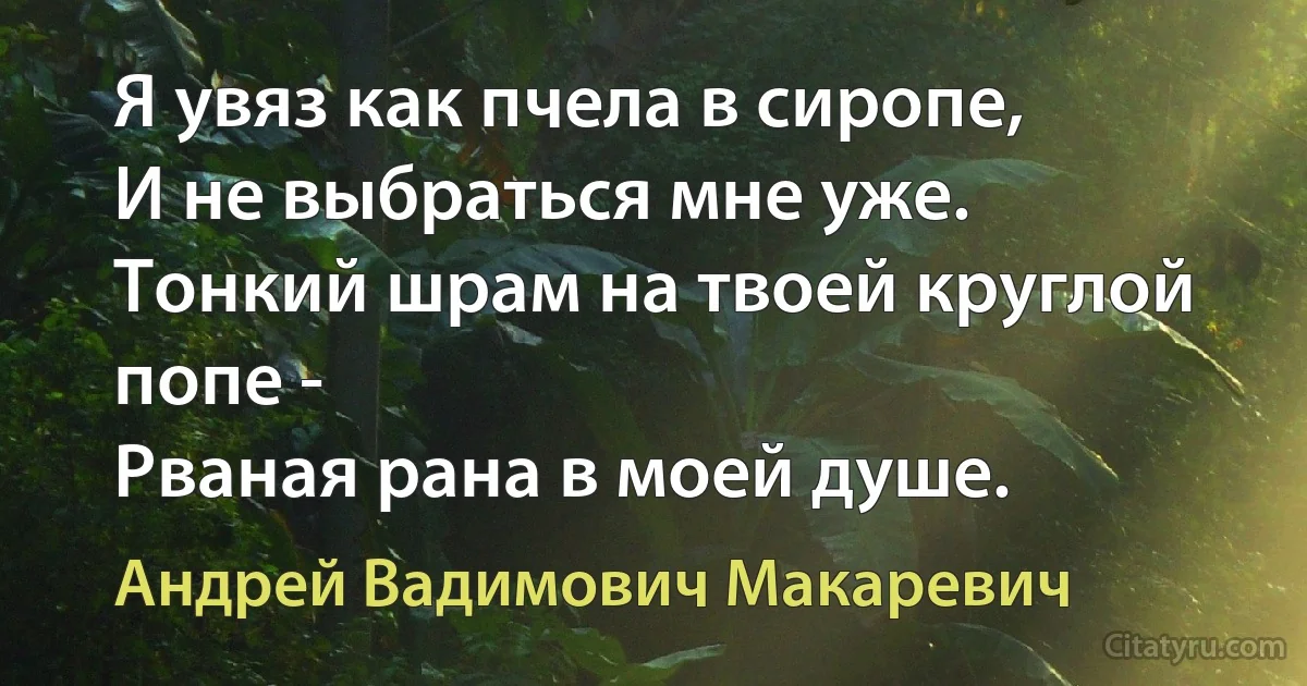 Я увяз как пчела в сиропе,
И не выбраться мне уже.
Тонкий шрам на твоей круглой попе -
Рваная рана в моей душе. (Андрей Вадимович Макаревич)