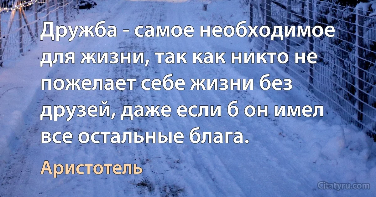 Дружба - самое необходимое для жизни, так как никто не пожелает себе жизни без друзей, даже если б он имел все остальные блага. (Аристотель)