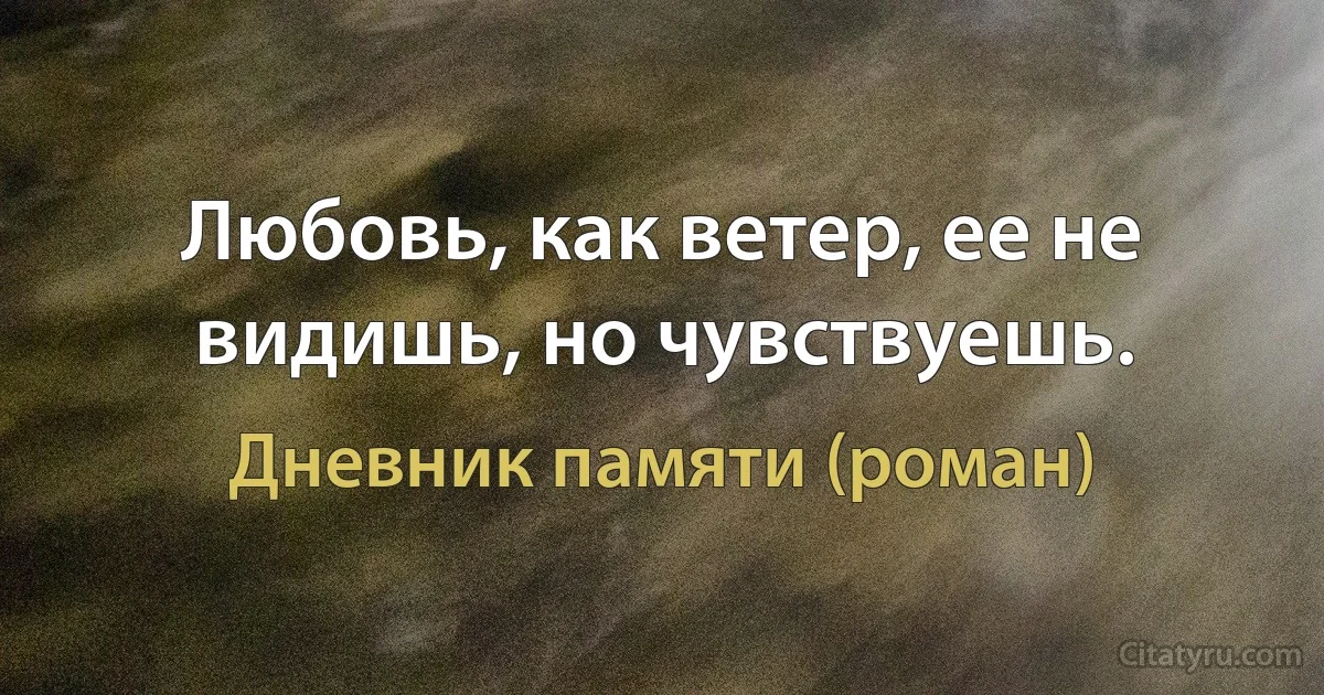 Любовь, как ветер, ее не видишь, но чувствуешь. (Дневник памяти (роман))