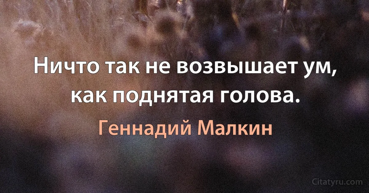 Ничто так не возвышает ум, как поднятая голова. (Геннадий Малкин)