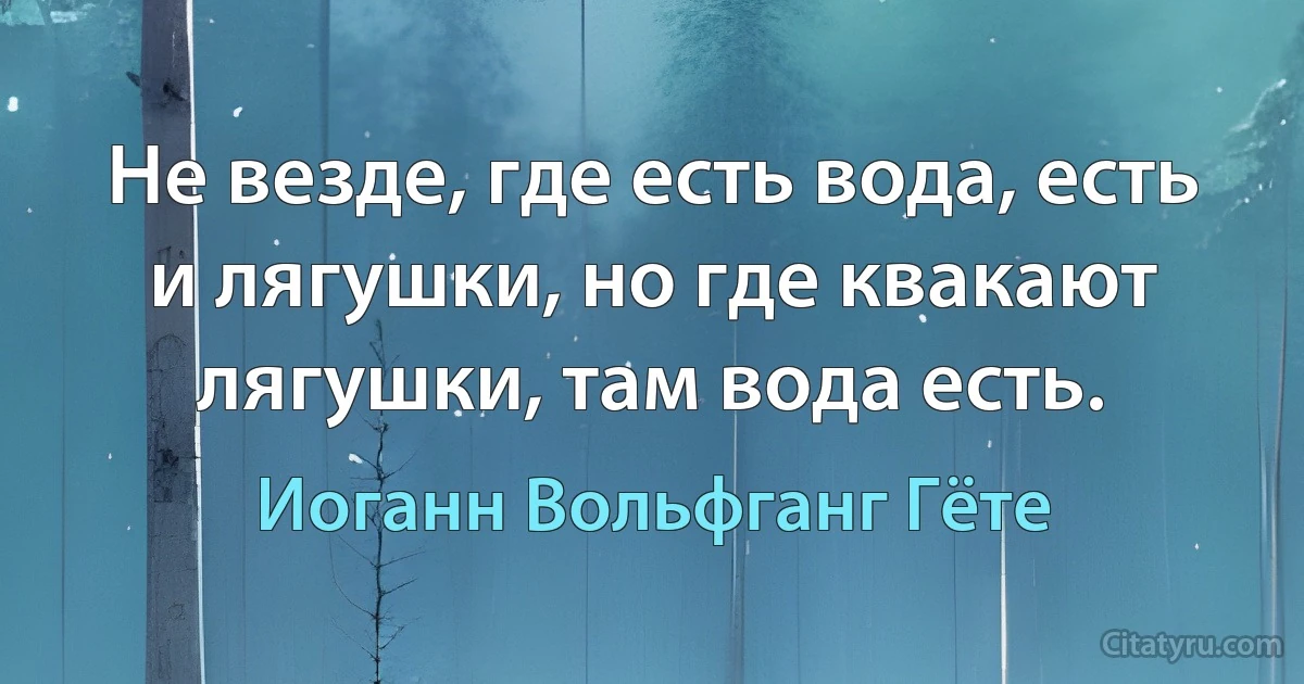 Не везде, где есть вода, есть и лягушки, но где квакают лягушки, там вода есть. (Иоганн Вольфганг Гёте)