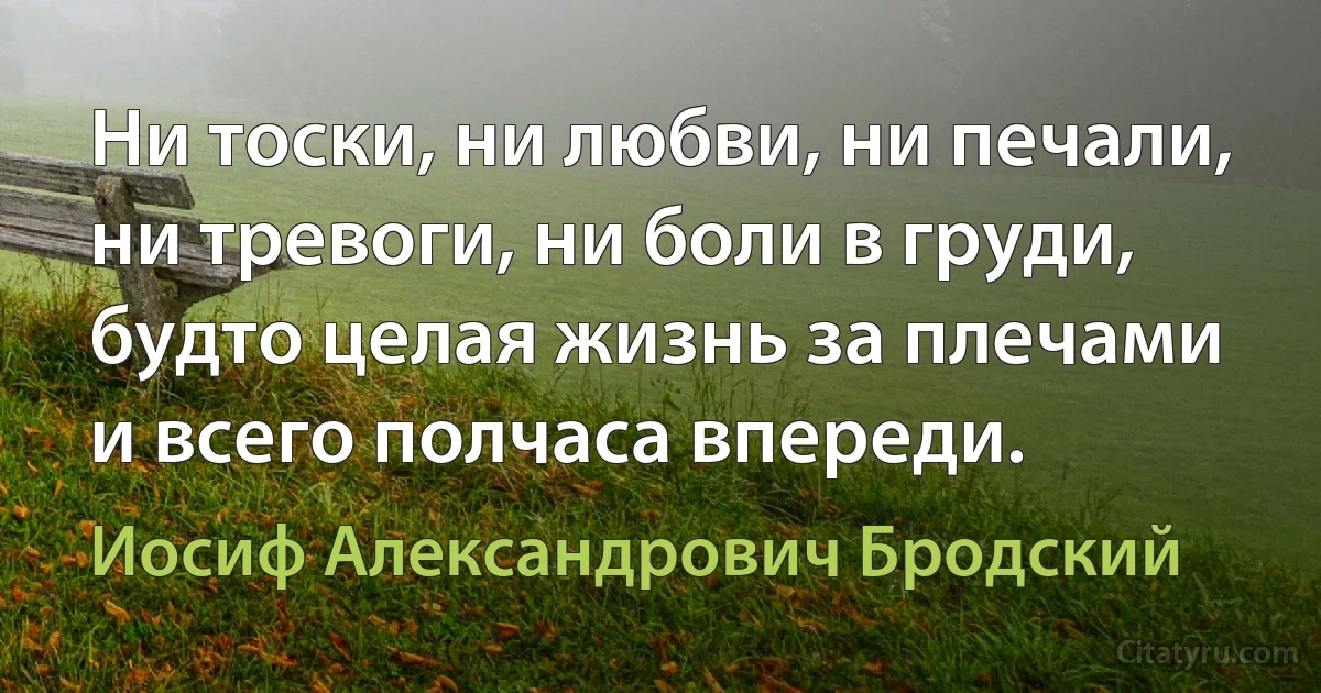 Ни тоски, ни любви, ни печали,
ни тревоги, ни боли в груди,
будто целая жизнь за плечами
и всего полчаса впереди. (Иосиф Александрович Бродский)