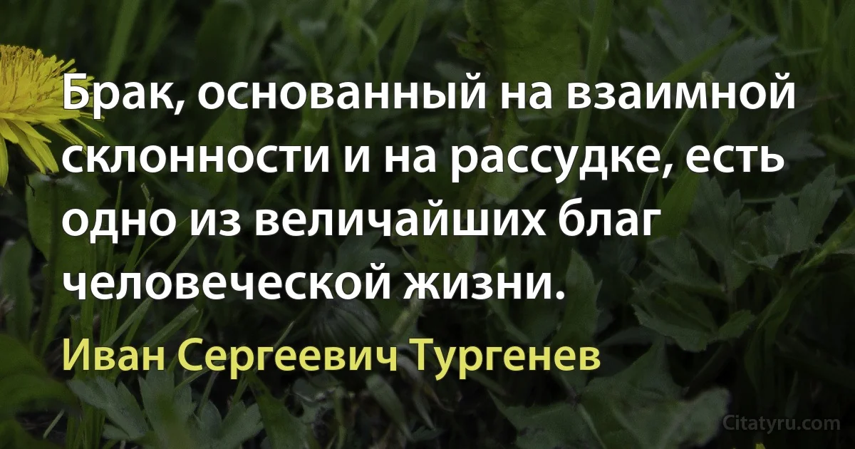 Брак, основанный на взаимной склонности и на рассудке, есть одно из величайших благ человеческой жизни. (Иван Сергеевич Тургенев)