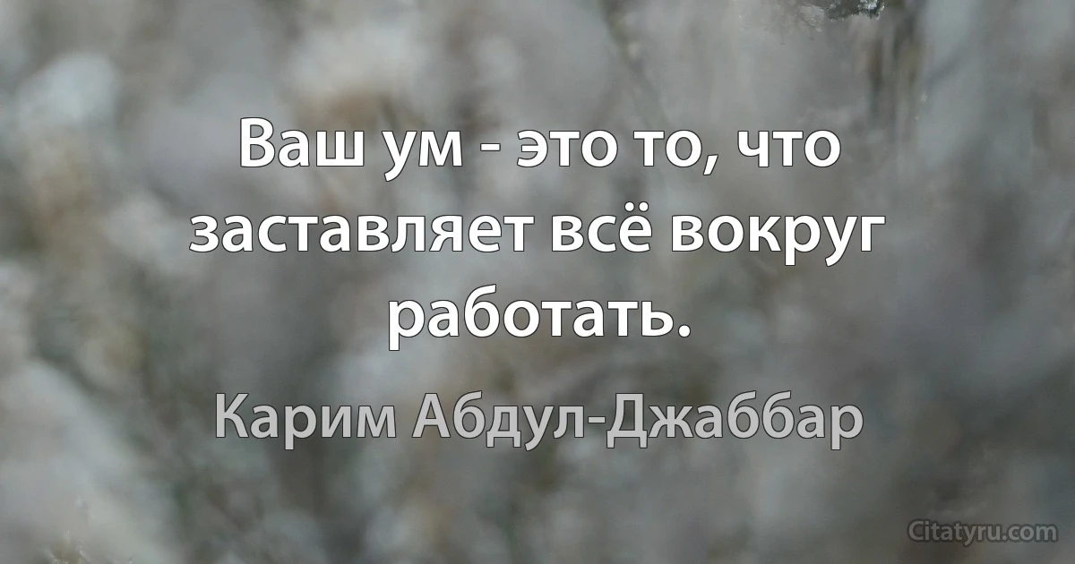 Ваш ум - это то, что заставляет всё вокруг работать. (Карим Абдул-Джаббар)