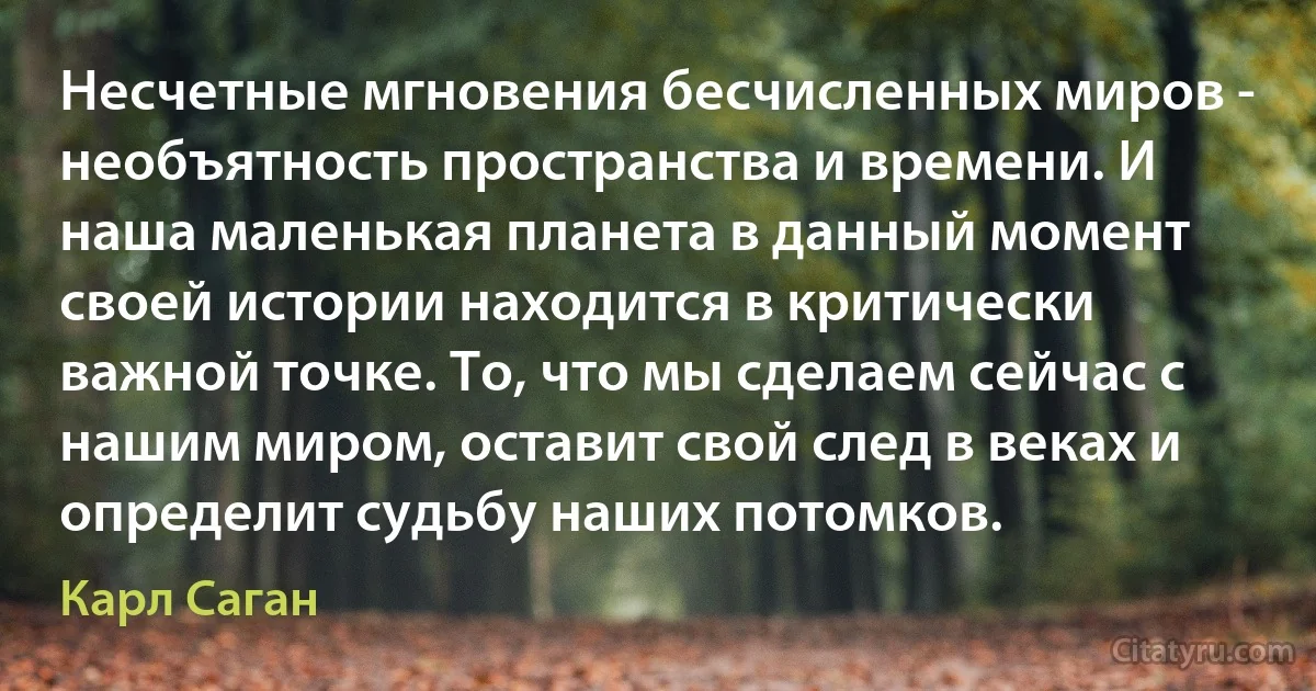 Несчетные мгновения бесчисленных миров - необъятность пространства и времени. И наша маленькая планета в данный момент своей истории находится в критически важной точке. То, что мы сделаем сейчас с нашим миром, оставит свой след в веках и определит судьбу наших потомков. (Карл Саган)