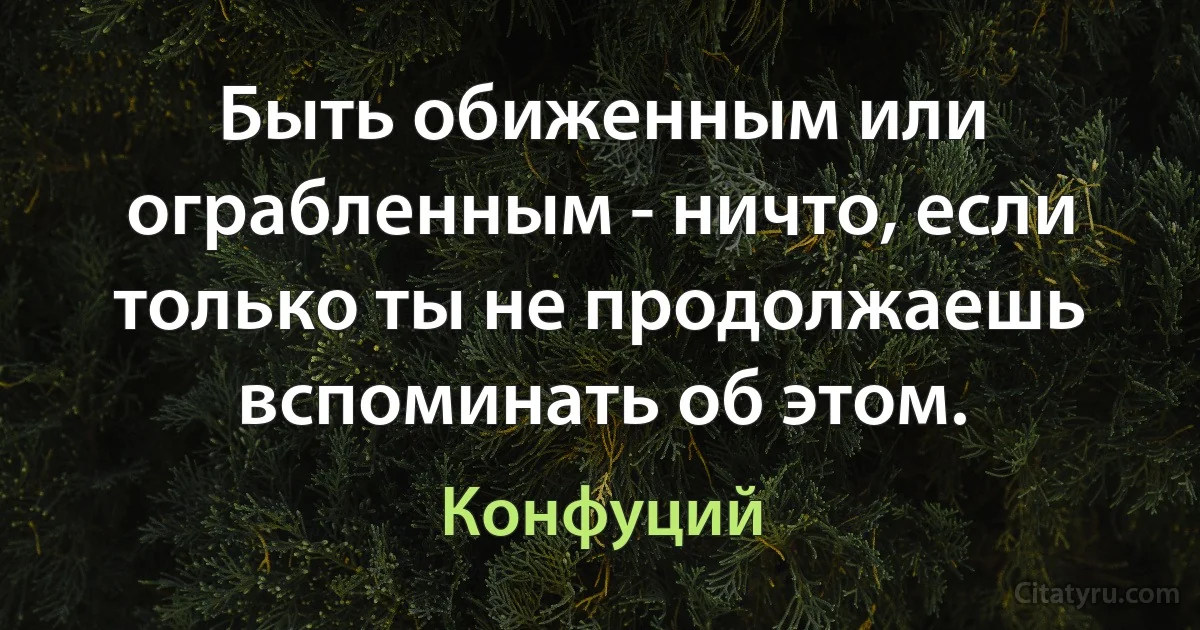 Быть обиженным или ограбленным - ничто, если только ты не продолжаешь вспоминать об этом. (Конфуций)