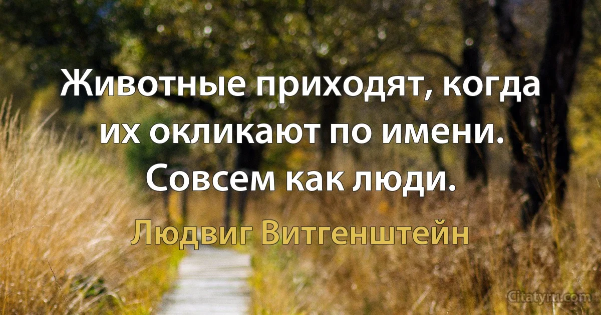 Животные приходят, когда их окликают по имени. Совсем как люди. (Людвиг Витгенштейн)