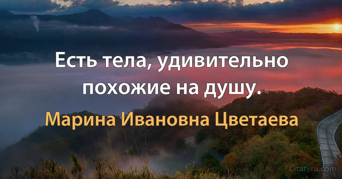 Есть тела, удивительно похожие на душу. (Марина Ивановна Цветаева)