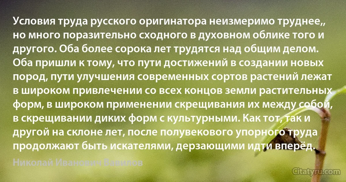 Условия труда русского оригинатора неизмеримо труднее,, но много поразительно сходного в духовном облике того и другого. Оба более сорока лет трудятся над общим делом. Оба пришли к тому, что пути достижений в создании новых пород, пути улучшения современных сортов растений лежат в широком привлечении со всех концов земли растительных форм, в широком применении скрещивания их между собой, в скрещивании диких форм с культурными. Как тот, так и другой на склоне лет, после полувекового упорного труда продолжают быть искателями, дерзающими идти вперёд. (Николай Иванович Вавилов)