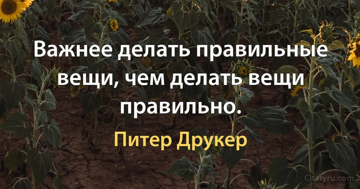 Важнее делать правильные вещи, чем делать вещи правильно. (Питер Друкер)