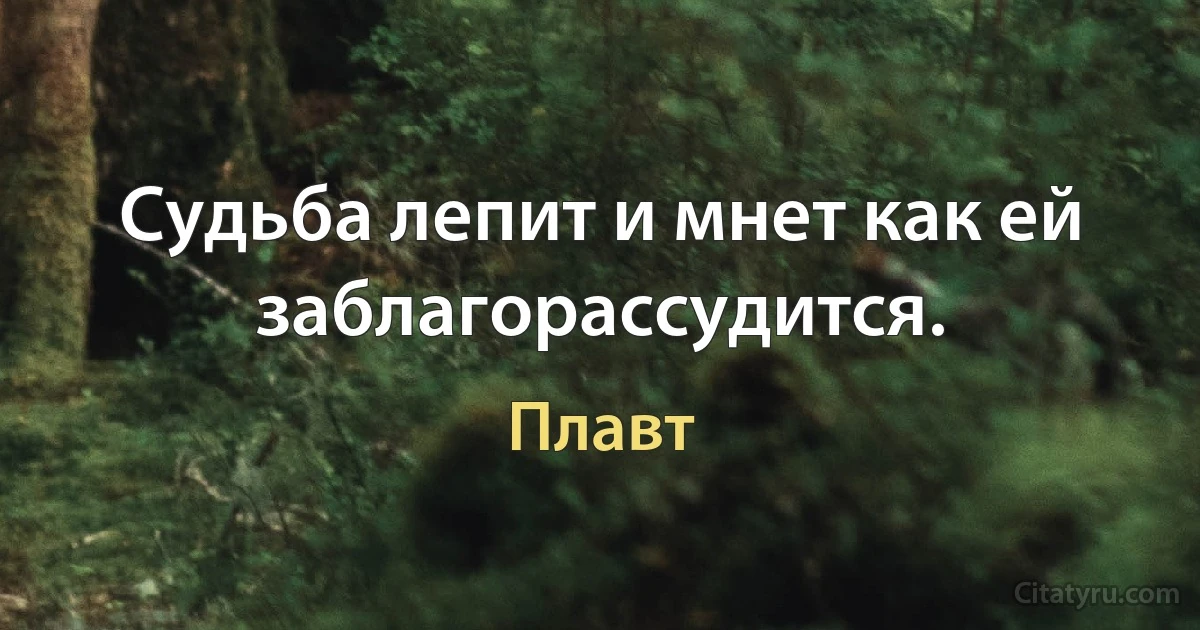 Судьба лепит и мнет как ей заблагорассудится. (Плавт)