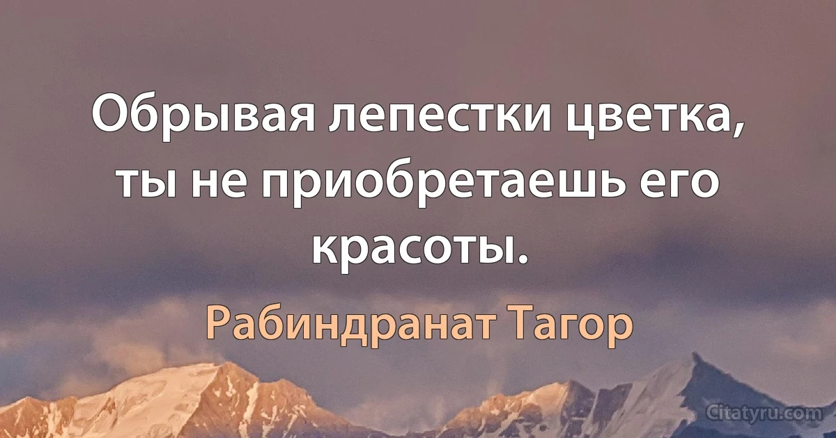 Обрывая лепестки цветка, ты не приобретаешь его красоты. (Рабиндранат Тагор)