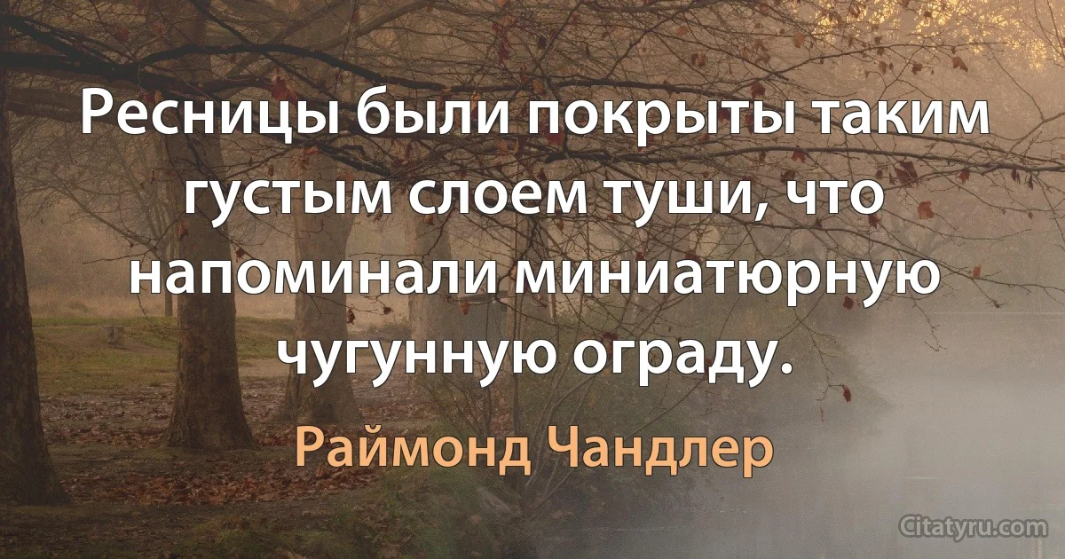 Ресницы были покрыты таким густым слоем туши, что напоминали миниатюрную чугунную ограду. (Раймонд Чандлер)