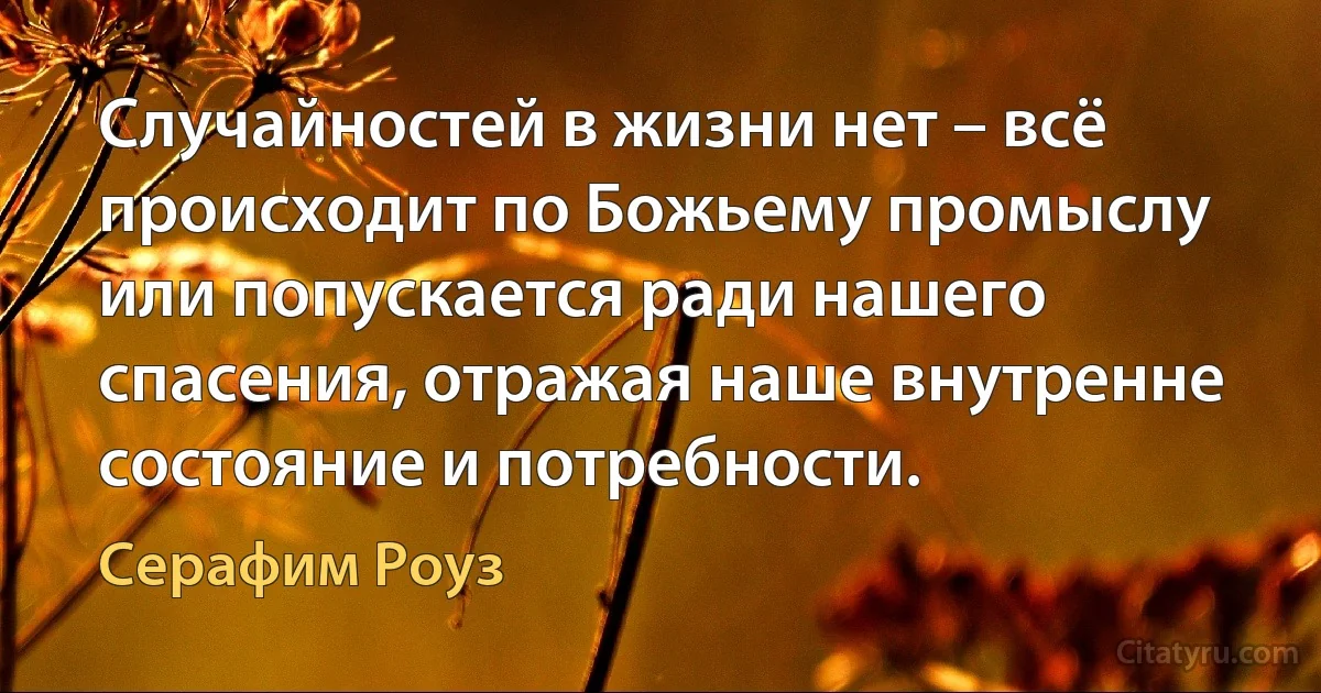 Случайностей в жизни нет – всё происходит по Божьему промыслу или попускается ради нашего спасения, отражая наше внутренне состояние и потребности. (Серафим Роуз)