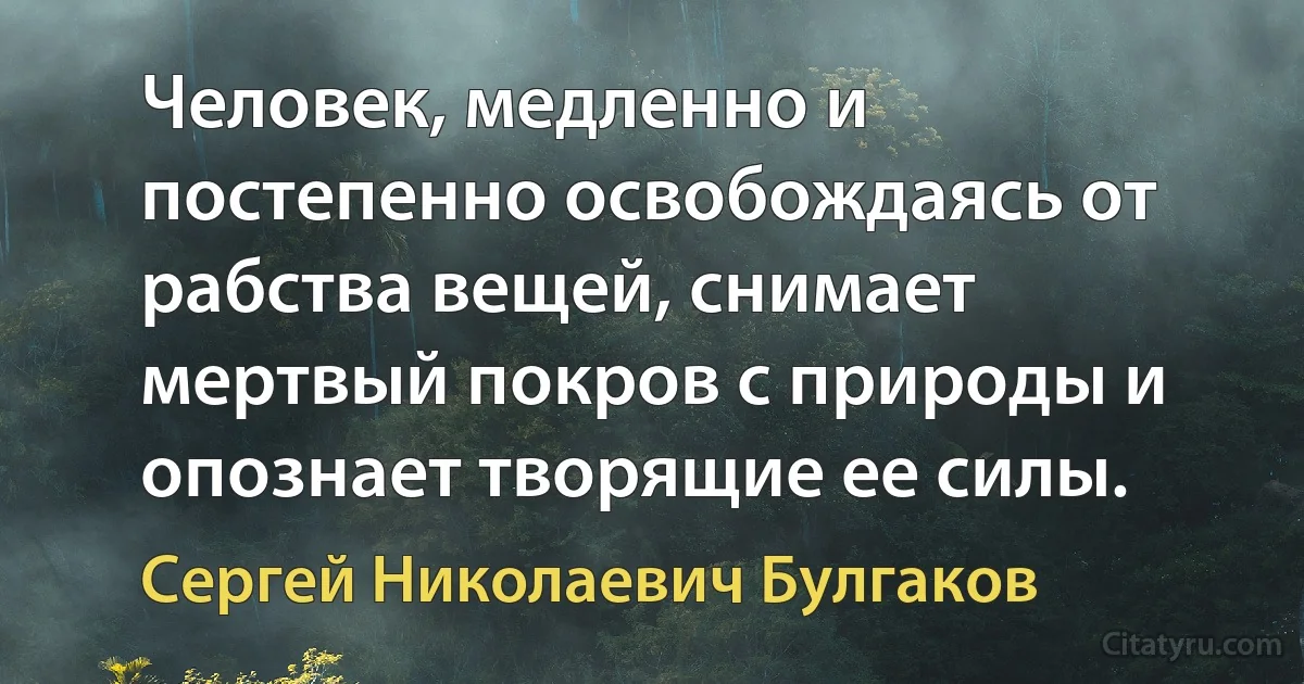 Человек, медленно и постепенно освобождаясь от рабства вещей, снимает мертвый покров с природы и опознает творящие ее силы. (Сергей Николаевич Булгаков)