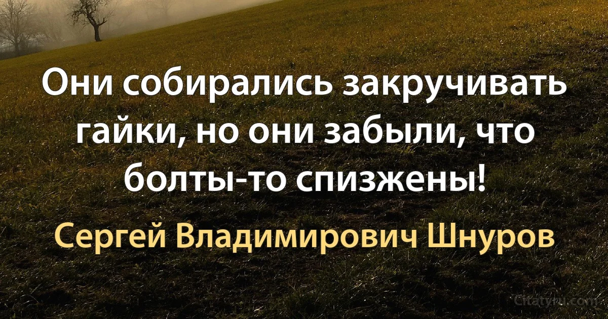 Они собирались закручивать гайки, но они забыли, что болты-то спизжены! (Сергей Владимирович Шнуров)