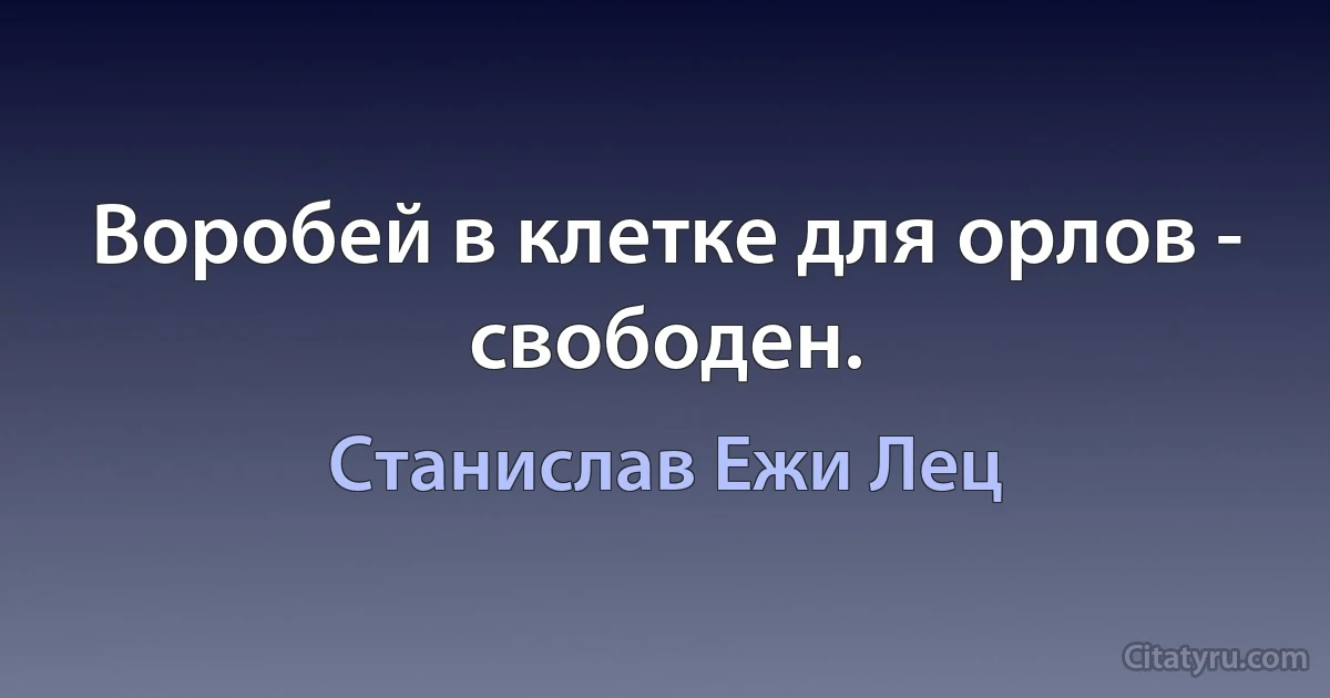 Воробей в клетке для орлов - свободен. (Станислав Ежи Лец)