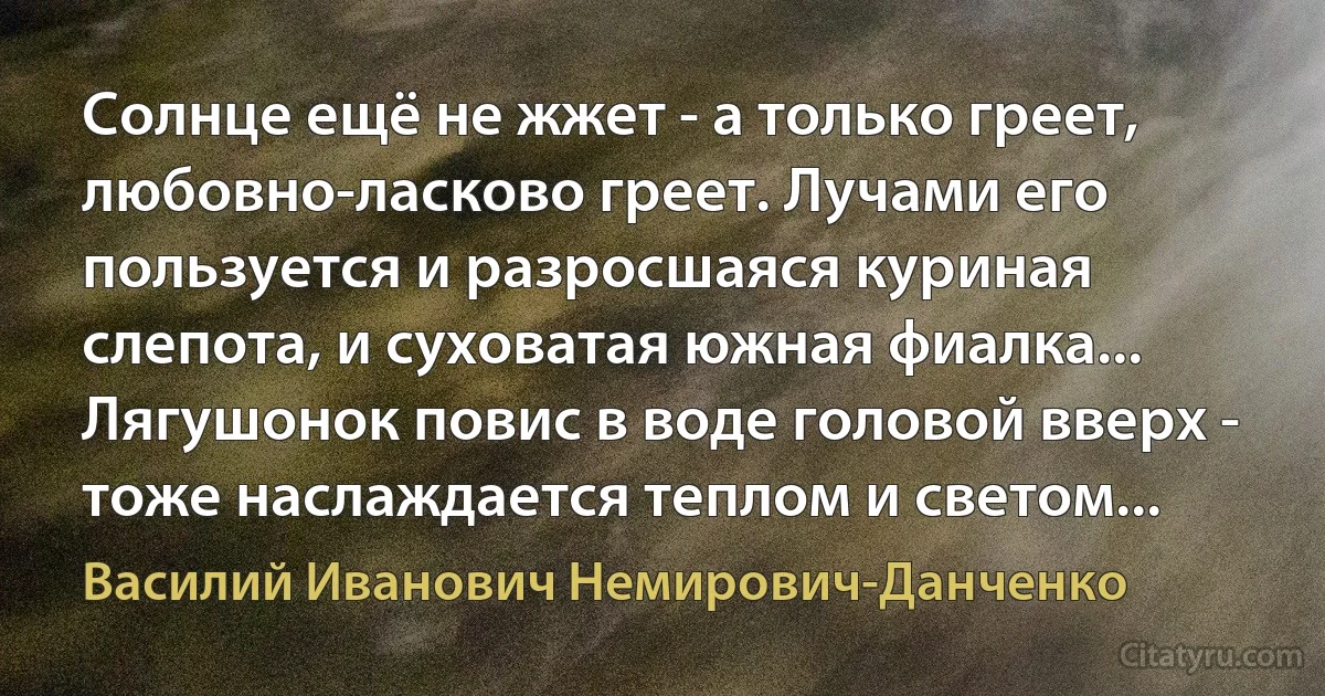 Солнце ещё не жжет - а только греет, любовно-ласково греет. Лучами его пользуется и разросшаяся куриная слепота, и суховатая южная фиалка... Лягушонок повис в воде головой вверх - тоже наслаждается теплом и светом... (Василий Иванович Немирович-Данченко)