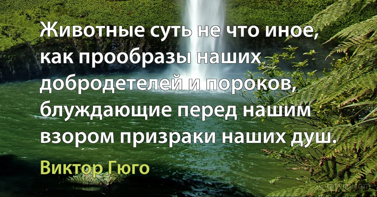 Животные суть не что иное, как прообразы наших добродетелей и пороков, блуждающие перед нашим взором призраки наших душ. (Виктор Гюго)