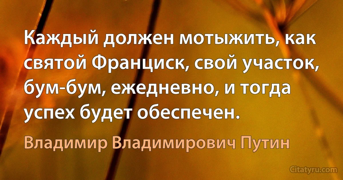 Каждый должен мотыжить, как святой Франциск, свой участок, бум-бум, ежедневно, и тогда успех будет обеспечен. (Владимир Владимирович Путин)