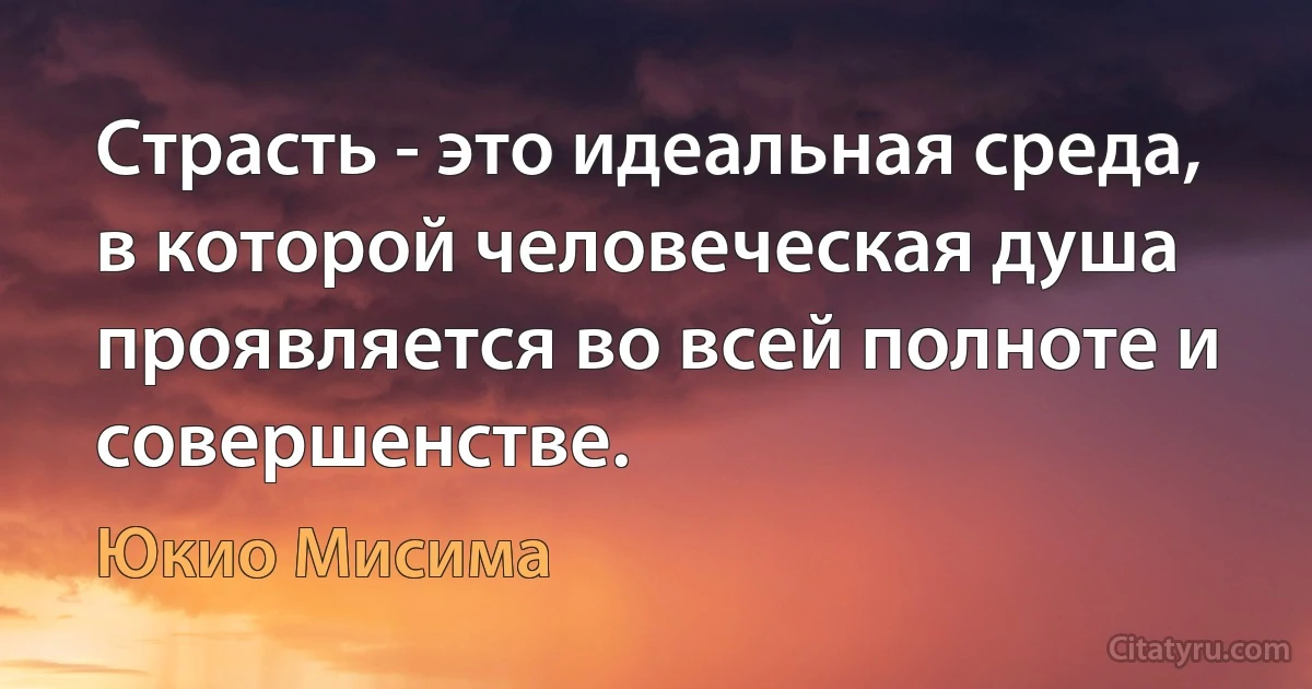 Страсть - это идеальная среда, в которой человеческая душа проявляется во всей полноте и совершенстве. (Юкио Мисима)